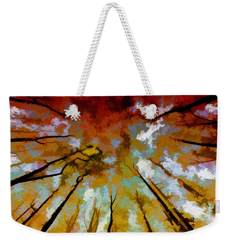 Abstract Weekender Tote Bag featuring the photograph Autumn Ascent by Art Cole