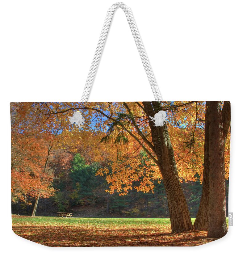 Autumn Weekender Tote Bag featuring the photograph Autumn at Lykens Glen by Lori Deiter
