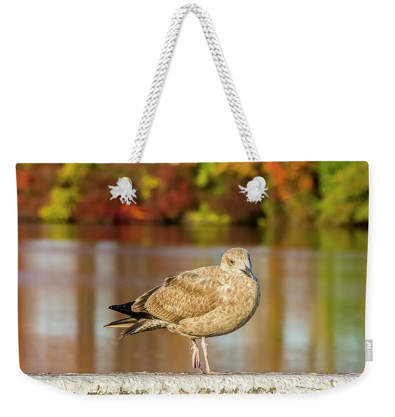 Autumn Weekender Tote Bag featuring the photograph Autumn Bird by Cathy Kovarik