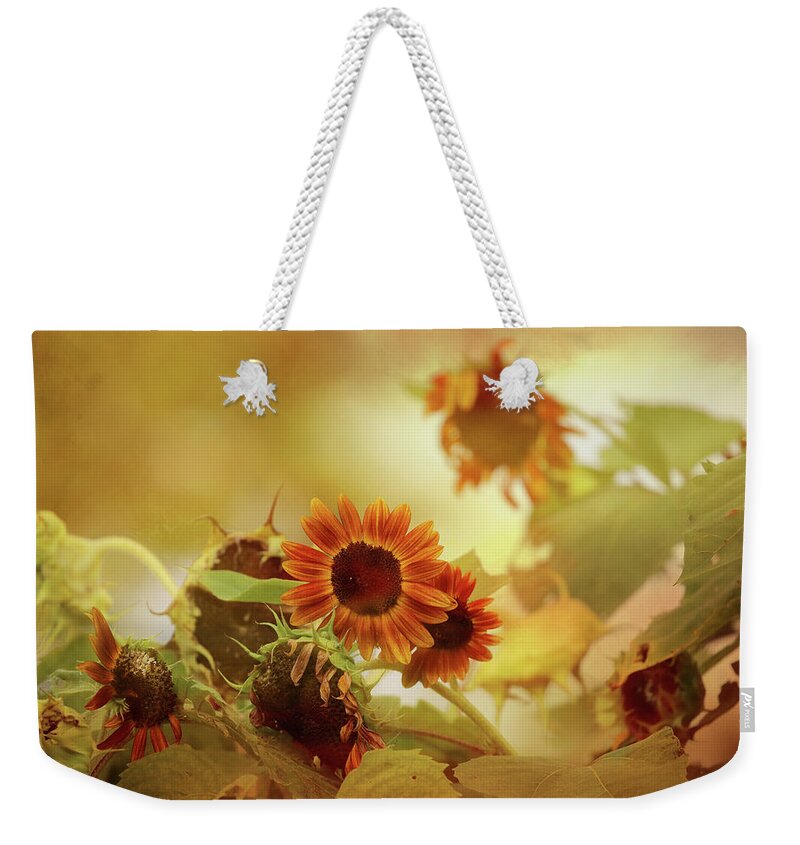 Sunflower Weekender Tote Bag featuring the photograph Autumn Blessings by Theresa Campbell