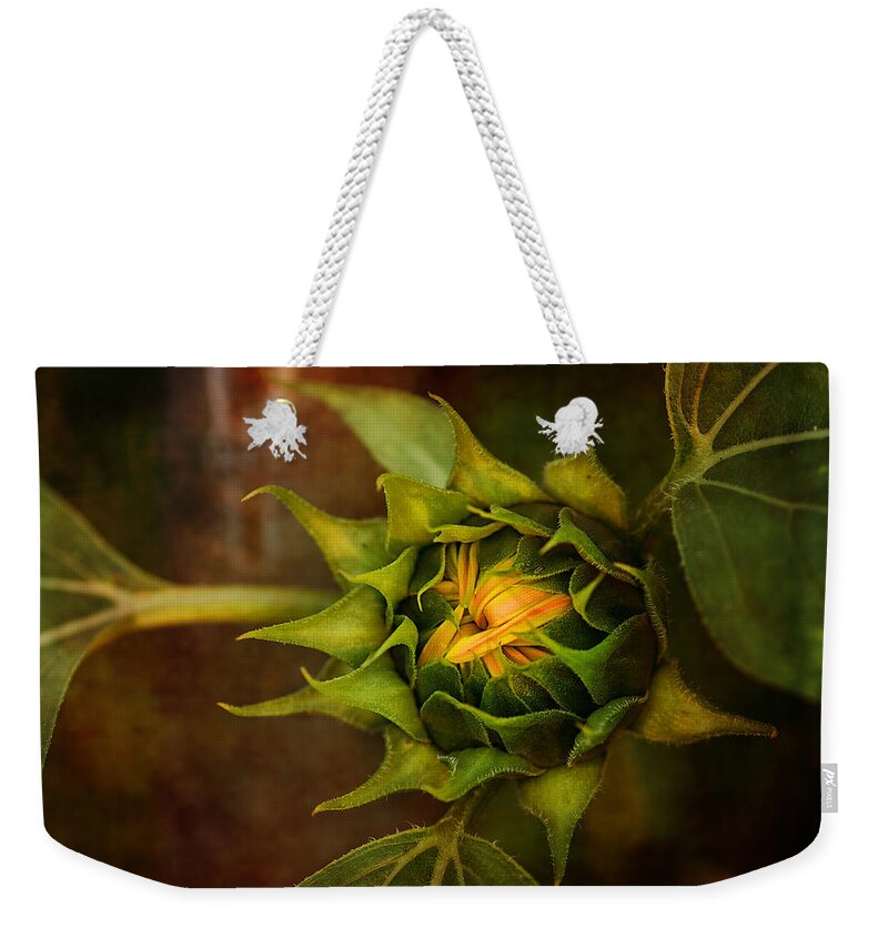 Susan Capuano Weekender Tote Bag featuring the photograph Autumn Bud by Sue Capuano