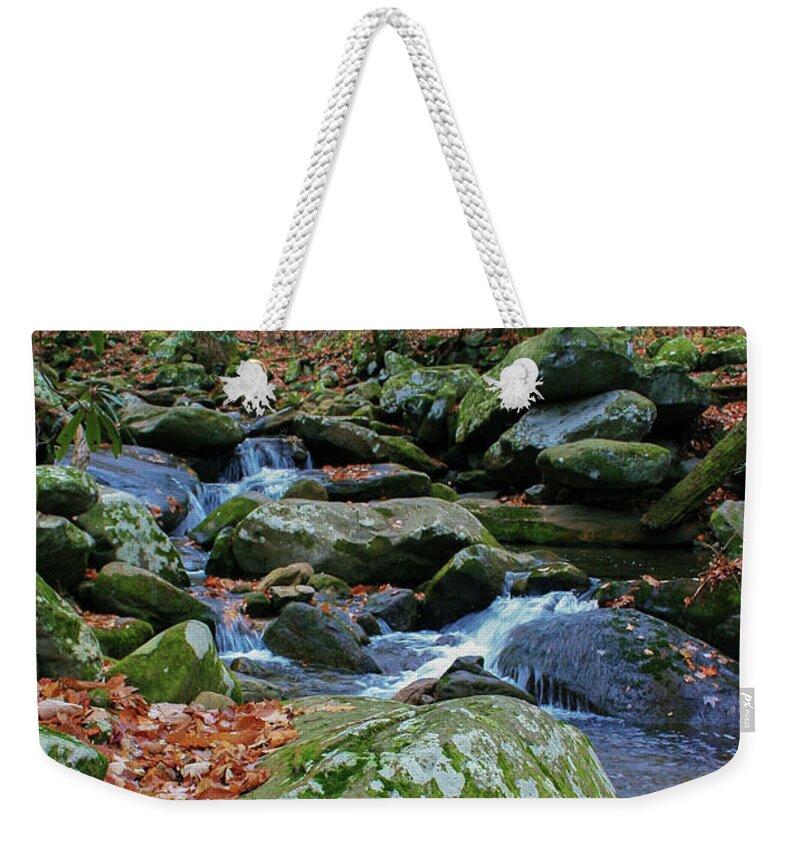 Photo For Sale Weekender Tote Bag featuring the photograph Autumn Cascade by Robert Wilder Jr