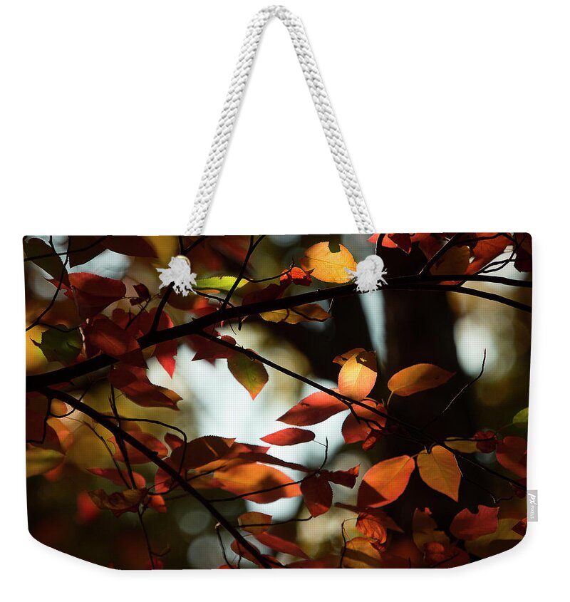 Fall Leaves Weekender Tote Bag featuring the photograph Autumn Changing by Mike Eingle