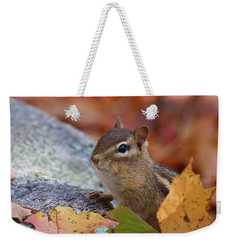 Wildlife Weekender Tote Bag featuring the photograph Autumn Chipmunk by William Selander