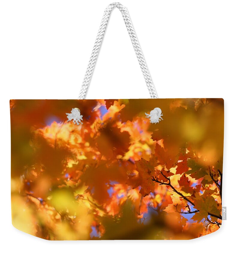 Landscape Weekender Tote Bag featuring the photograph Autumn Colors and Leaves by Brett Pelletier
