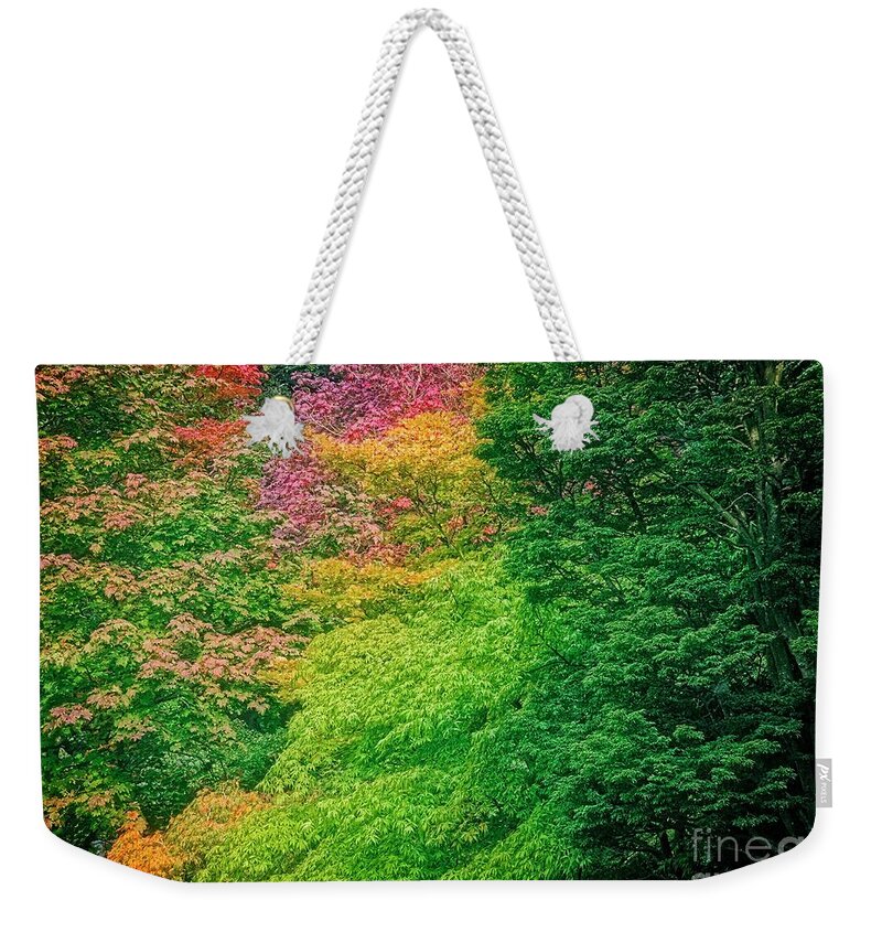 Autumn Trees Weekender Tote Bag featuring the photograph Autumn Colors on Acer Tree Leafs by Martyn Arnold