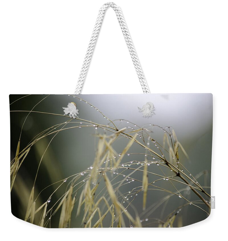 Autumn Weekender Tote Bag featuring the photograph Autumn dew on grass by Spikey Mouse Photography