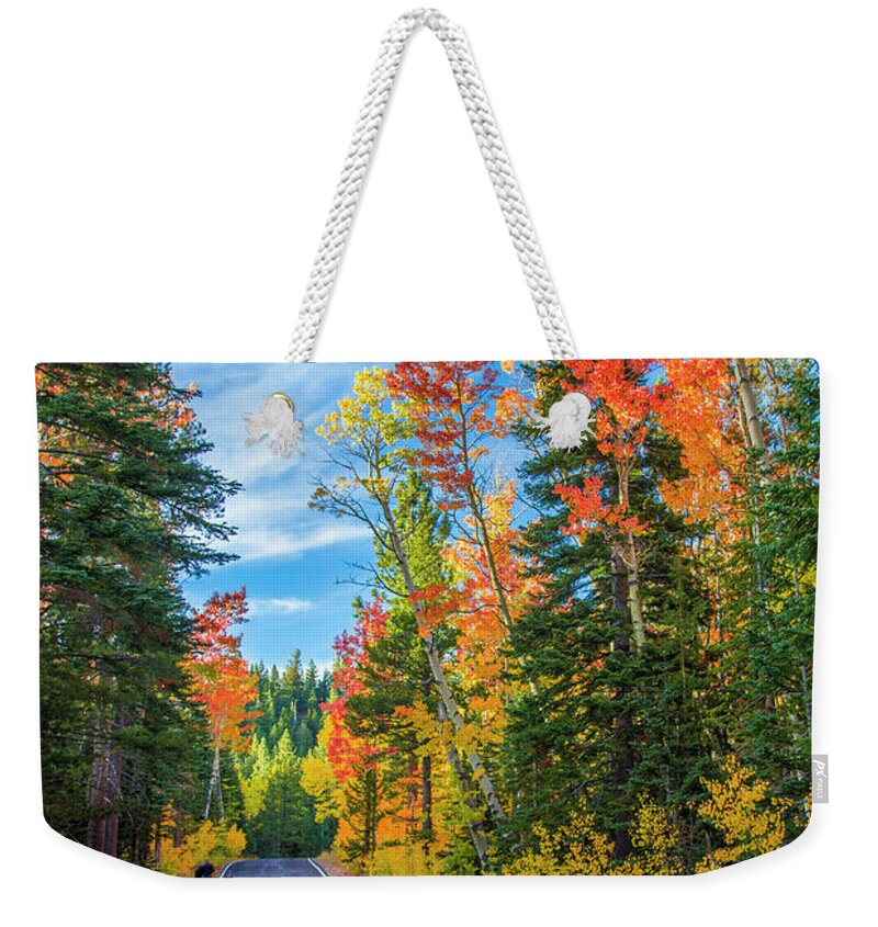 High Sierra Weekender Tote Bag featuring the photograph Autumn Drive Over Ebbotts Pass by Lynn Bauer
