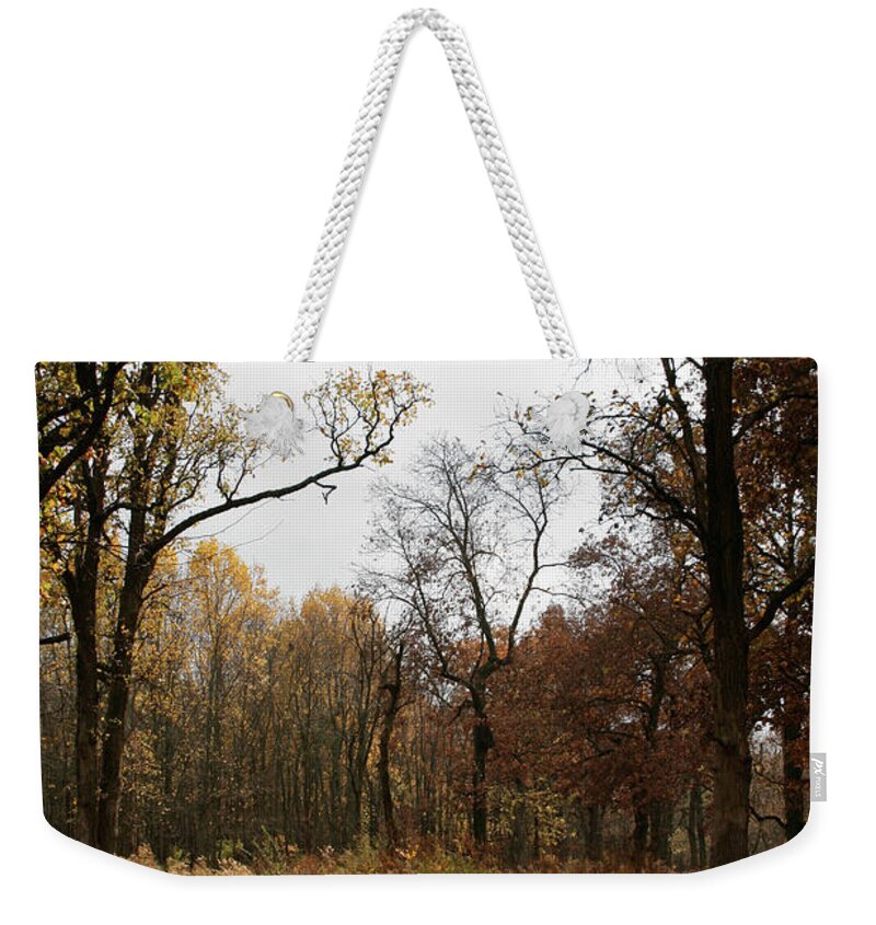 Fall Weekender Tote Bag featuring the photograph Autumn by Dylan Punke