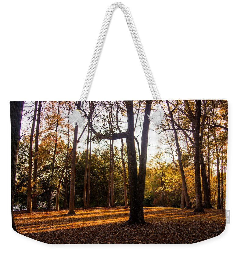 Autumn Weekender Tote Bag featuring the photograph Autumn Falls by M Three Photos