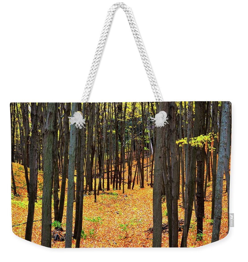 Abstract Weekender Tote Bag featuring the photograph Autumn Forest by Lyle Crump
