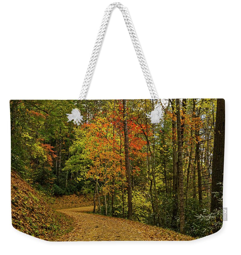 Fall Weekender Tote Bag featuring the photograph Autumn forest road. by Ulrich Burkhalter