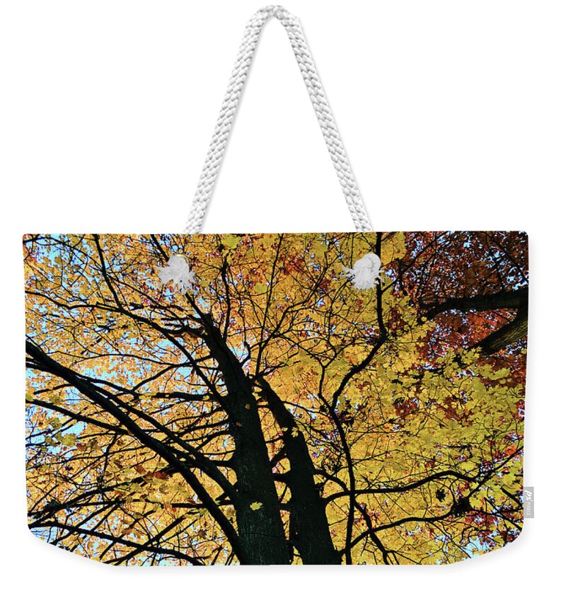 Autumn Weekender Tote Bag featuring the photograph Autumn Glory by Laura Kinker