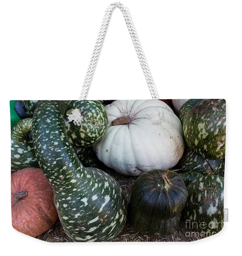 Gourds Weekender Tote Bag featuring the photograph Autumn Gourds by Suzanne Luft