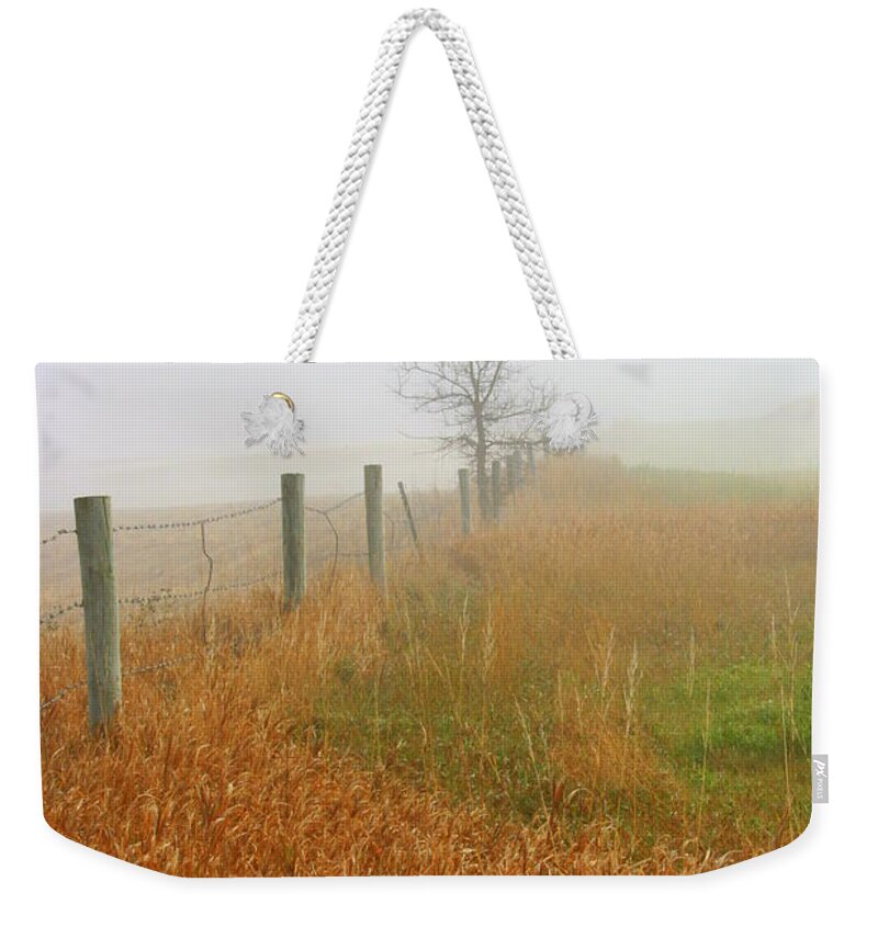 Fall Foggy Morning Weekender Tote Bag featuring the photograph Autumn Grasses by Julie Lueders 