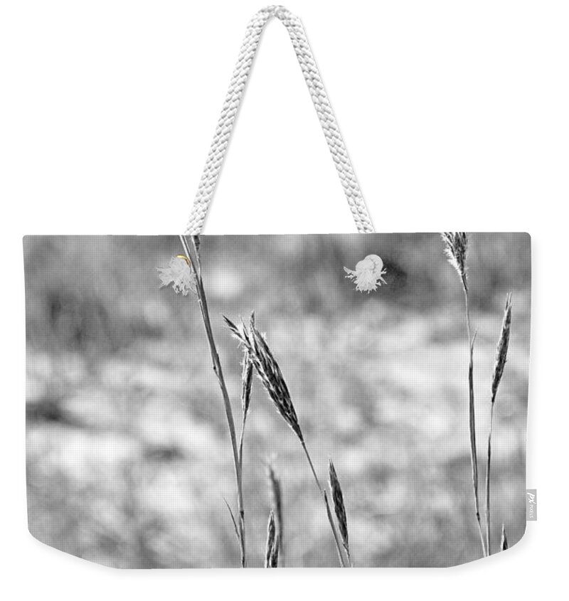 Autumn Weekender Tote Bag featuring the photograph Autumn Grasses by Robert Meyers-Lussier