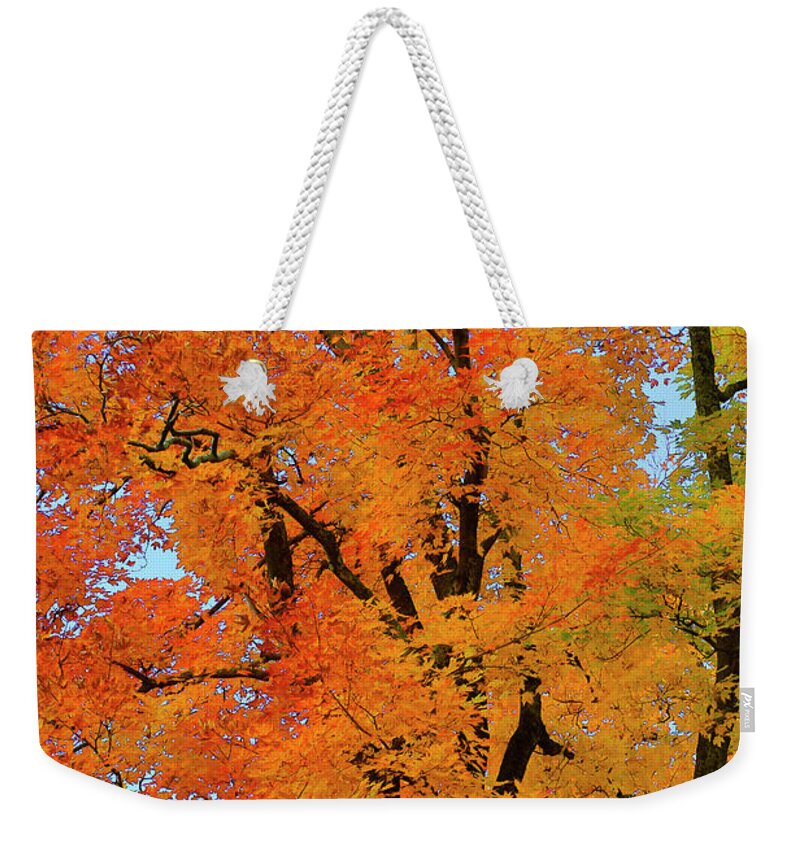 Gary Hall Weekender Tote Bag featuring the photograph Autumn in Southern Ontario by Gary Hall