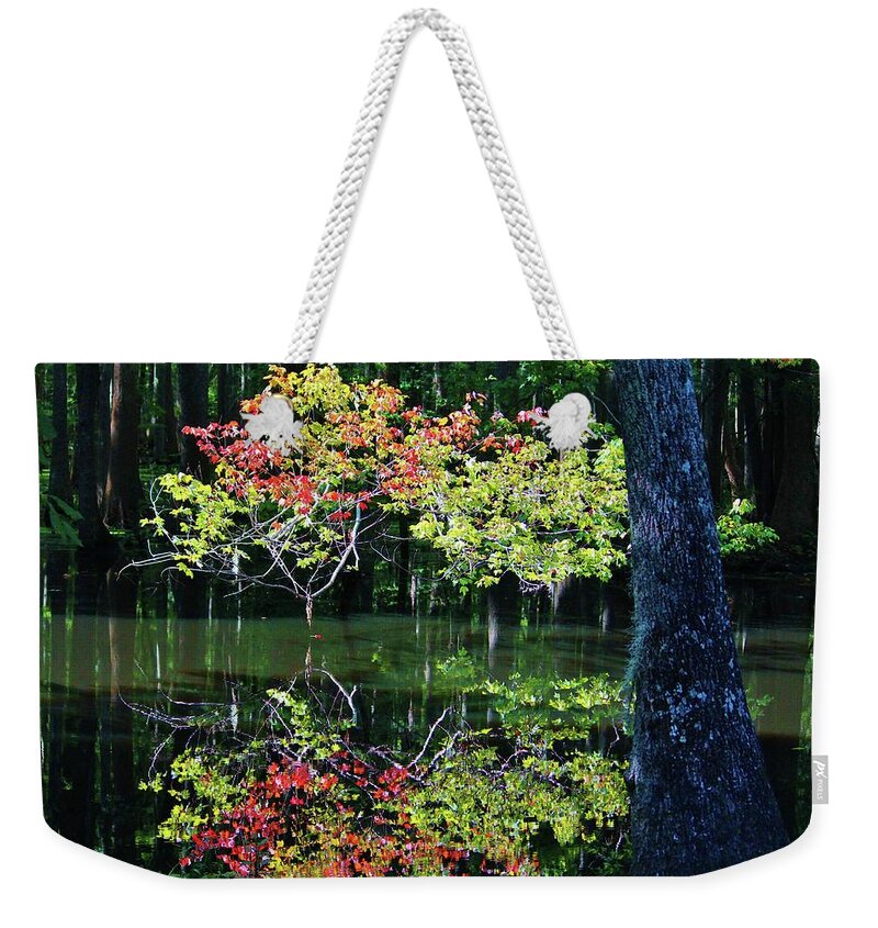Autumn Weekender Tote Bag featuring the photograph Autumn In The Swamp by Cynthia Guinn