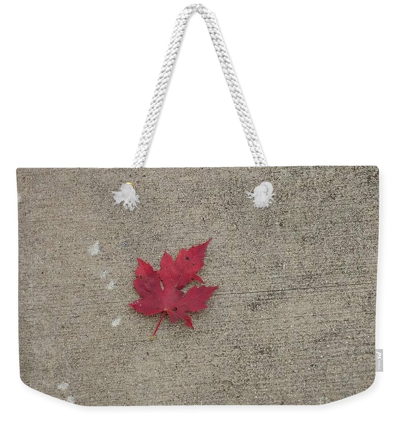 Red Maple Leaf Weekender Tote Bag featuring the photograph Autumn Leaf by Anita Adams