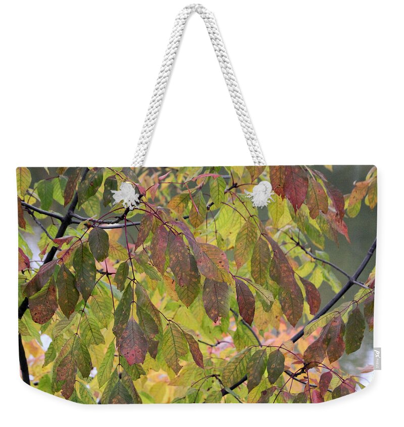 Autumn Weekender Tote Bag featuring the photograph Autumn leaves by Doris Potter