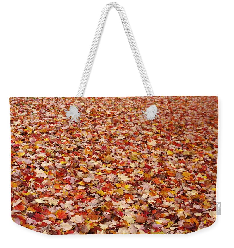Autumn Weekender Tote Bag featuring the photograph Autumn Leaves by Marilyn Wilson