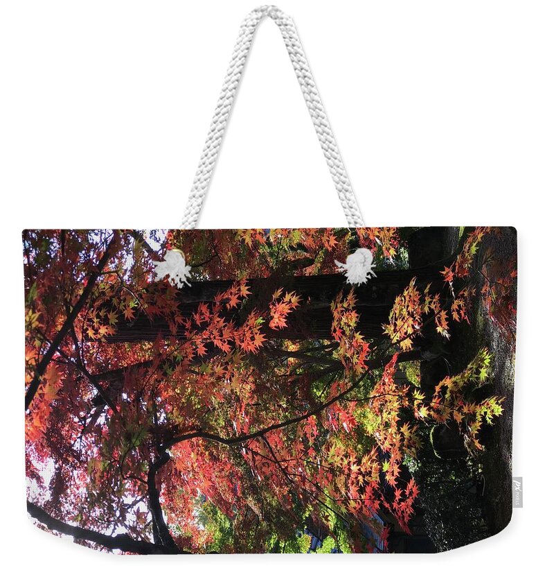  Weekender Tote Bag featuring the photograph Autumn leaves by Yoshinobu Mutou