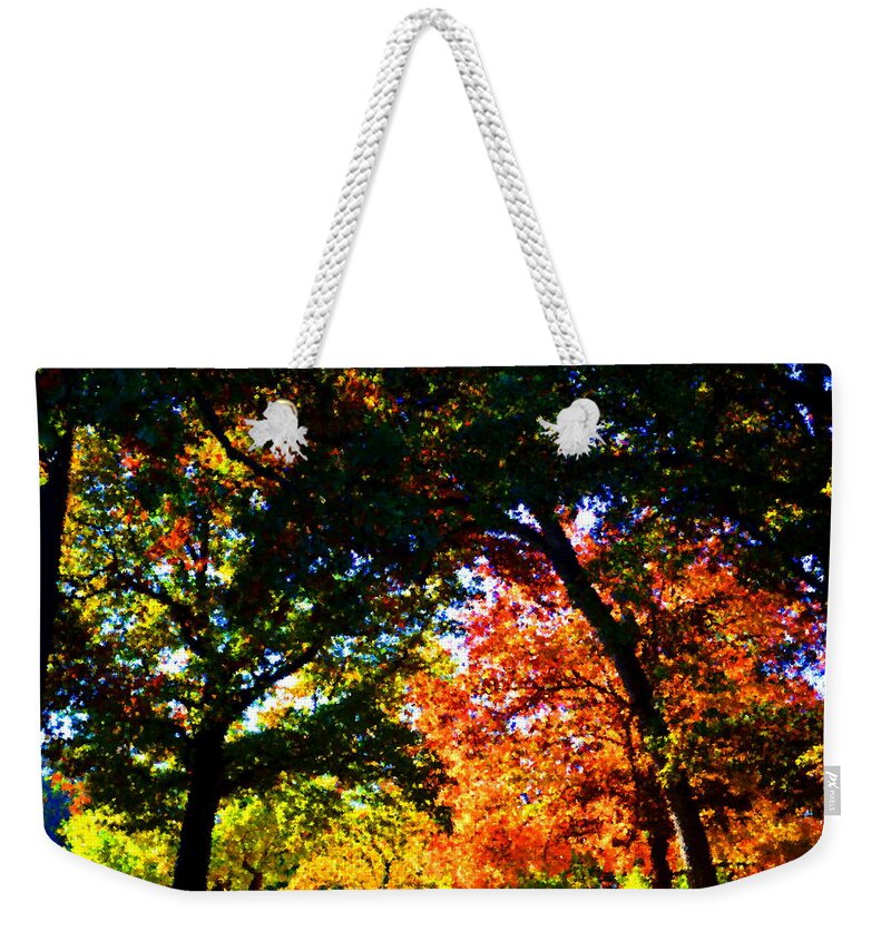 Autumncolors Weekender Tote Bag featuring the photograph Autumn Light by Jacob Folger