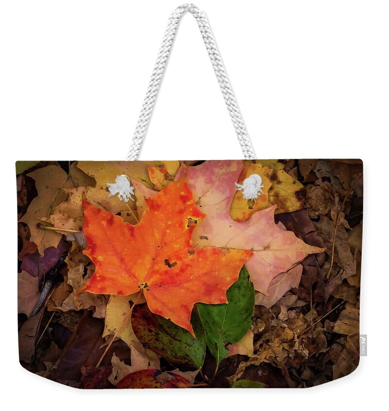 Terry D Photography Weekender Tote Bag featuring the photograph Autumn Love by Terry DeLuco