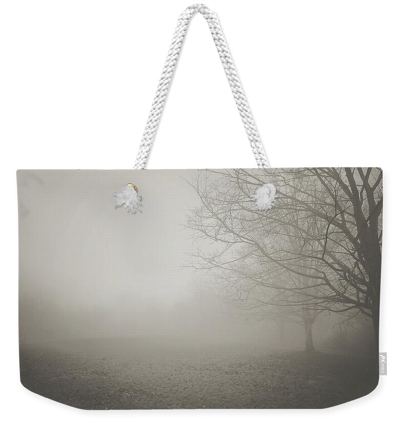 Mist Weekender Tote Bag featuring the photograph Autumn Mist 2 by Megan Swormstedt