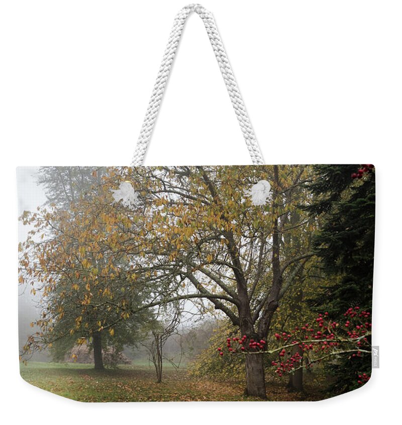 Red Berries Weekender Tote Bag featuring the photograph Autumn Mist, Great Dixter Garden 2 by Perry Rodriguez