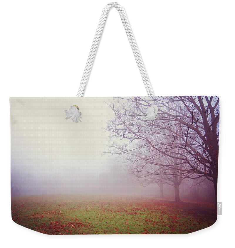 Mist Weekender Tote Bag featuring the photograph Autumn Mist by Megan Swormstedt