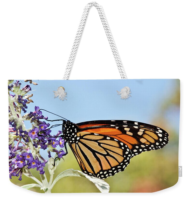 Lara Ellis Weekender Tote Bag featuring the photograph Autumn Monarch Butterfly 2016 by Lara Ellis