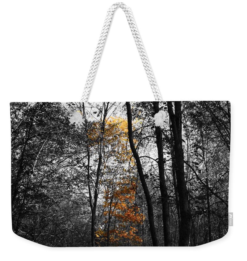 Autumn Morning Weekender Tote Bag featuring the photograph Autumn Morning by Dylan Punke