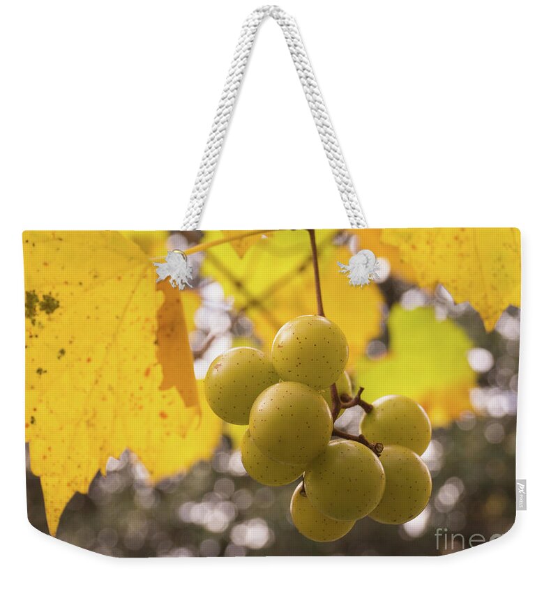 Grape Weekender Tote Bag featuring the photograph Autumn Muscadine Grapes on the Vine by MM Anderson