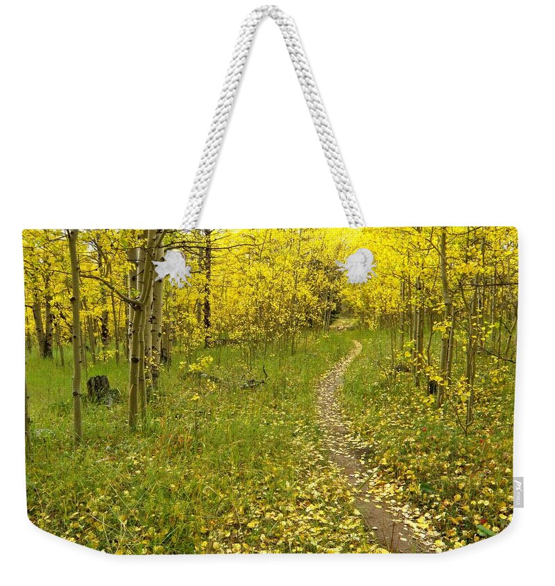 Colorado Rockymountains Autumn Golden Leaves Path Hike Walk Aspen Weekender Tote Bag featuring the photograph Autumn path by George Tuffy