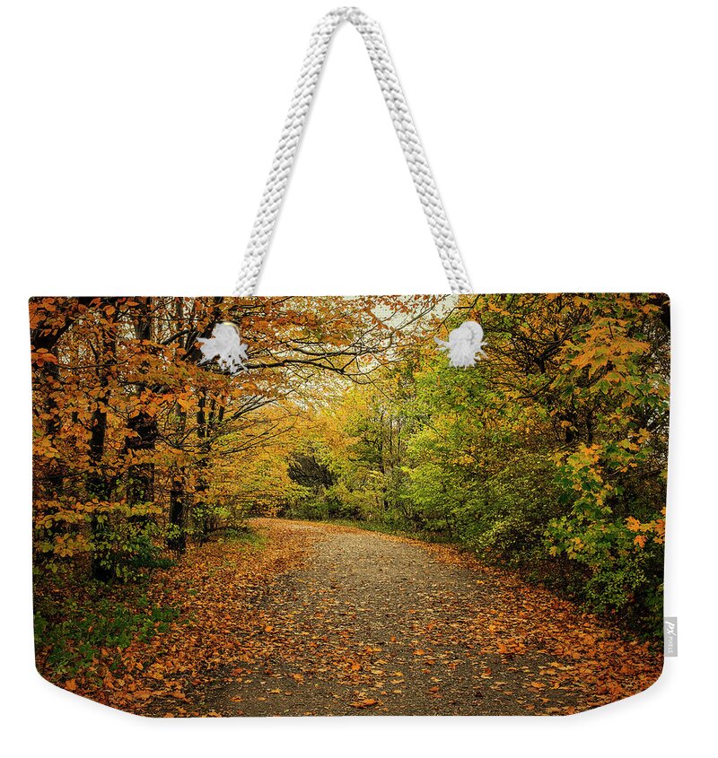 Autumn Weekender Tote Bag featuring the photograph Autumn path by Mike Santis