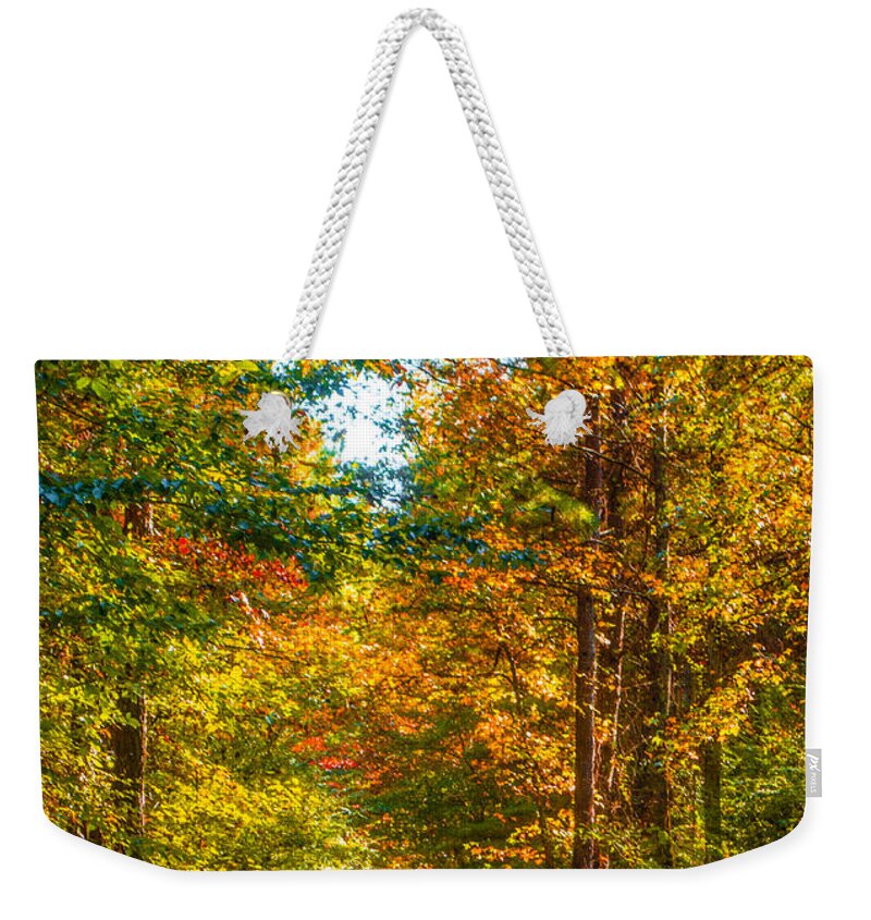 Path Weekender Tote Bag featuring the photograph Autumn Path by Parker Cunningham