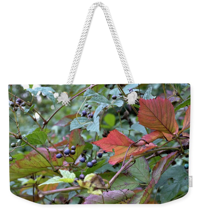 Berries Weekender Tote Bag featuring the photograph Autumn Purple Berries by Lisa Blake