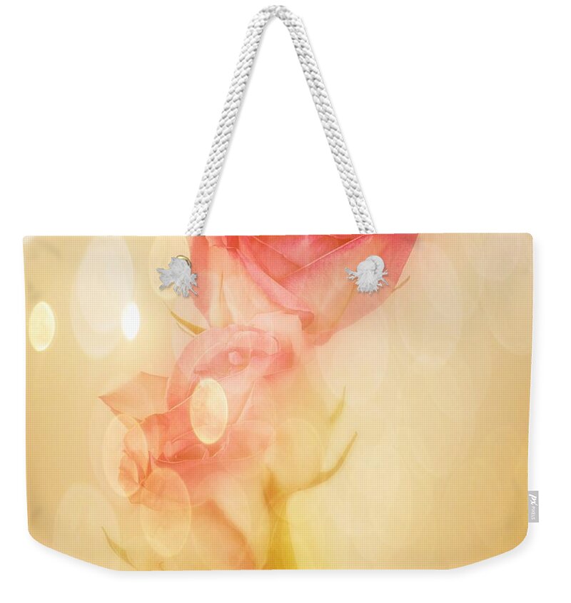 Roses Weekender Tote Bag featuring the photograph Autumn Roses by Shirley Mangini
