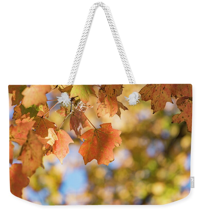 Autumn Weekender Tote Bag featuring the photograph Autumn Splendor by Holly Ross