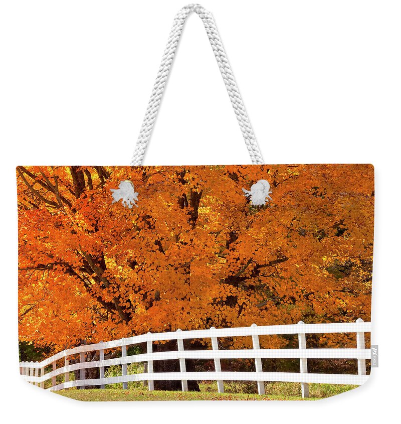 Autumn Weekender Tote Bag featuring the photograph Autumn Sugar Maples by Alan L Graham