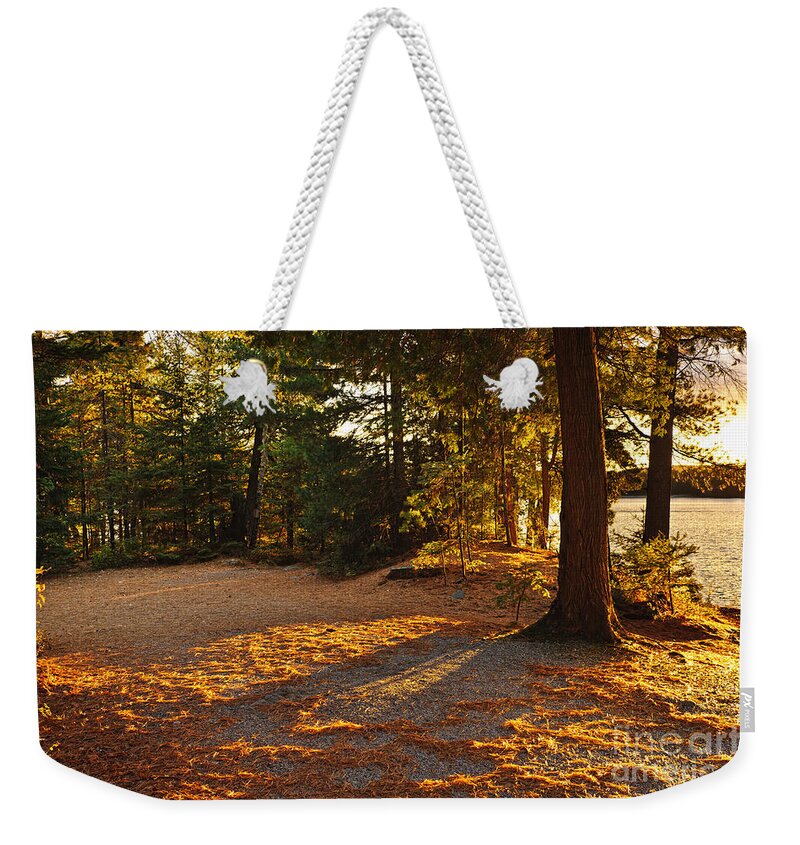 Trees Weekender Tote Bag featuring the photograph Autumn trees near lake by Elena Elisseeva