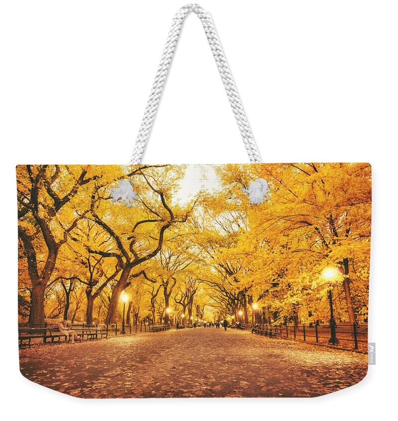 Autumn Weekender Tote Bag featuring the photograph Autumn by Vivienne Gucwa