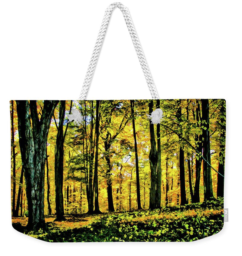 Autumn Weekender Tote Bag featuring the photograph Autumn's Glow by Monroe Payne