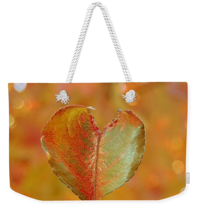 Heart Weekender Tote Bag featuring the photograph Autumn's Golden Splendor by Debra Thompson