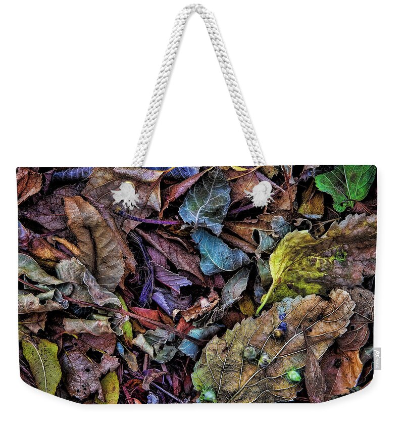 Autumn Weekender Tote Bag featuring the photograph Autumn's Mix by Steve Sullivan