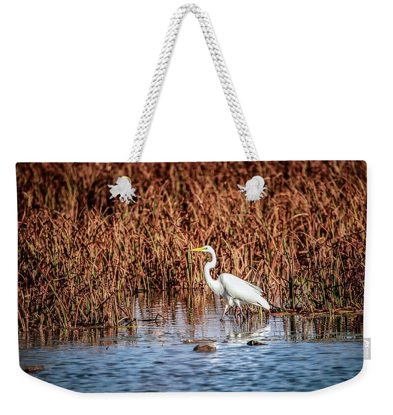 Autumn Weekender Tote Bag featuring the photograph Autumn's Shore by Ray Congrove