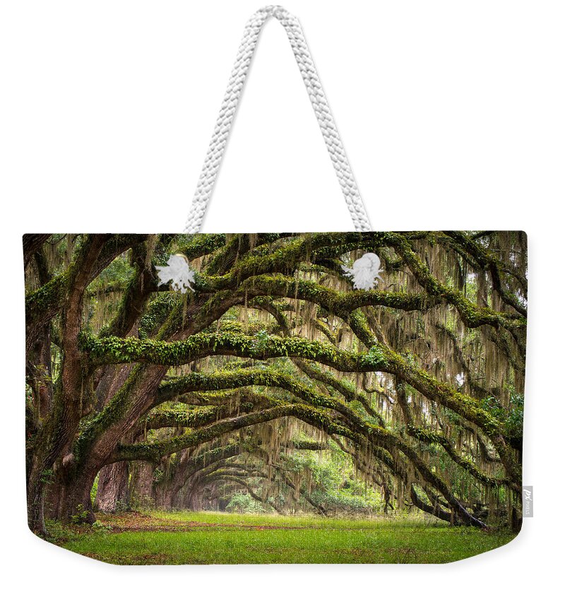 #faatoppicks Weekender Tote Bag featuring the photograph Avenue of Oaks - Charleston SC Plantation Live Oak Trees Forest Landscape by Dave Allen