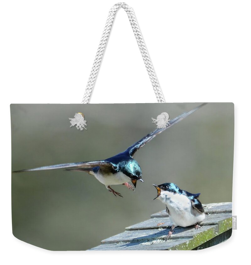 Tree Swallow Weekender Tote Bag featuring the photograph Avian Air Traffic Control by Amy Porter