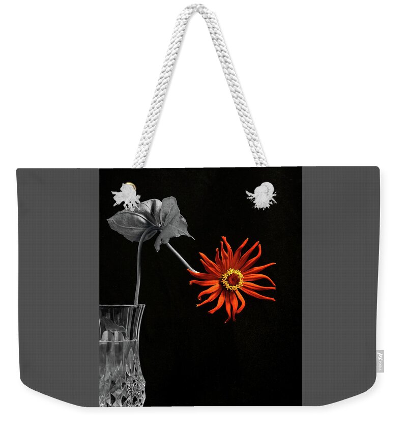 Orange Flower Weekender Tote Bag featuring the photograph Awaken by Don Spenner